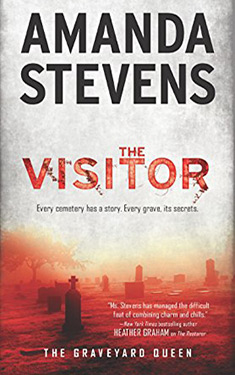 The Visitor