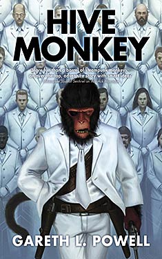 Hive Monkey