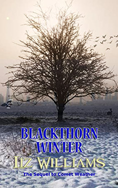 Blackthorn Winter