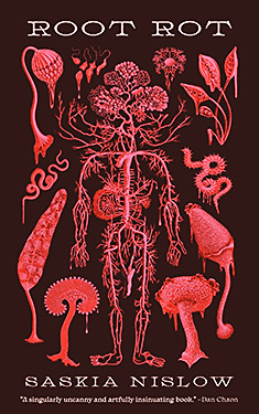 Root Rot