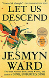 Let Us Descend:  A Novel