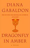 Dragonfly in Amber