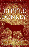 Little Donkey