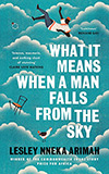 What It Means When a Man Falls from the Sky